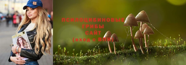 стаф Волоколамск