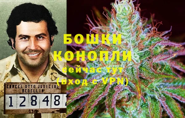 кокаин премиум Белокуриха